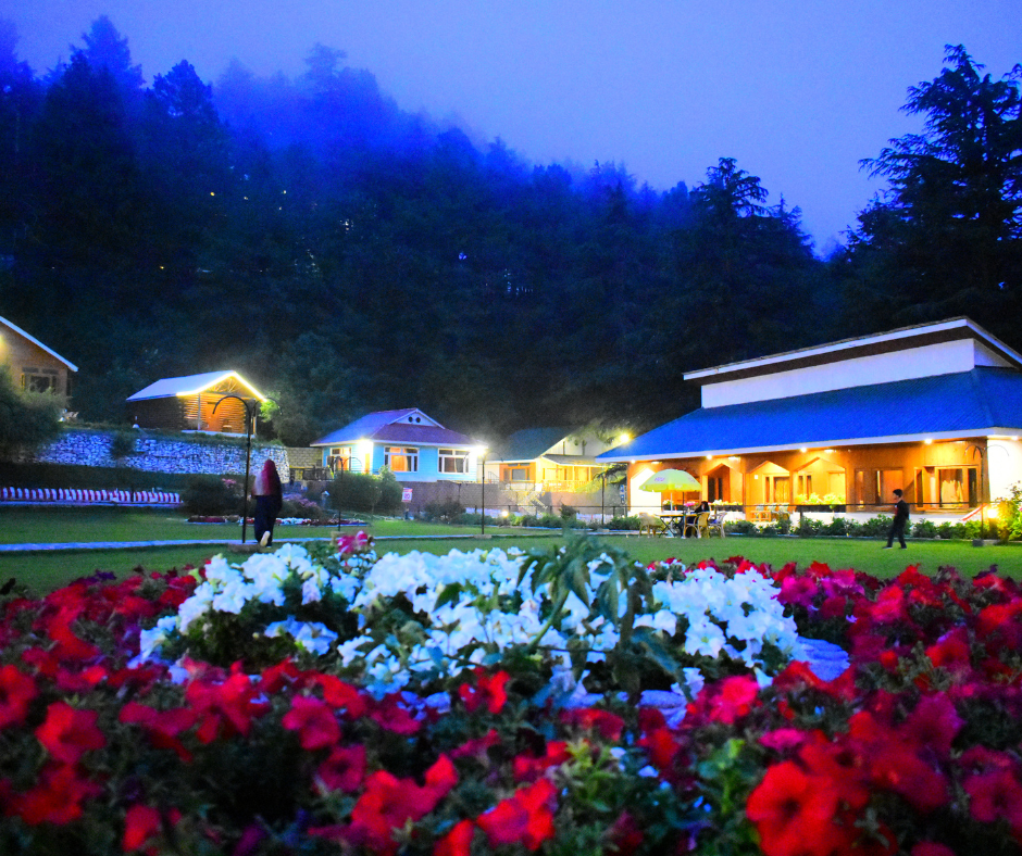 Pine park 6 (2)