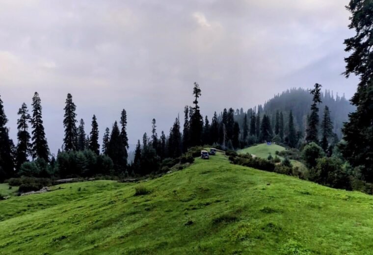 Manna Meadows